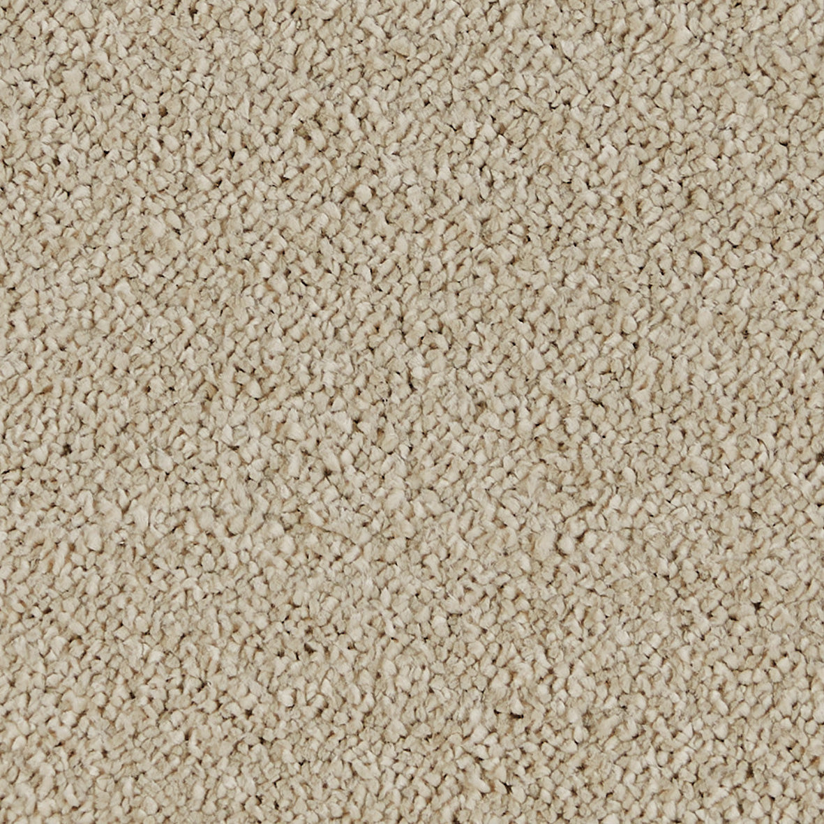 Sublime Mocha Cream 680 Carpet