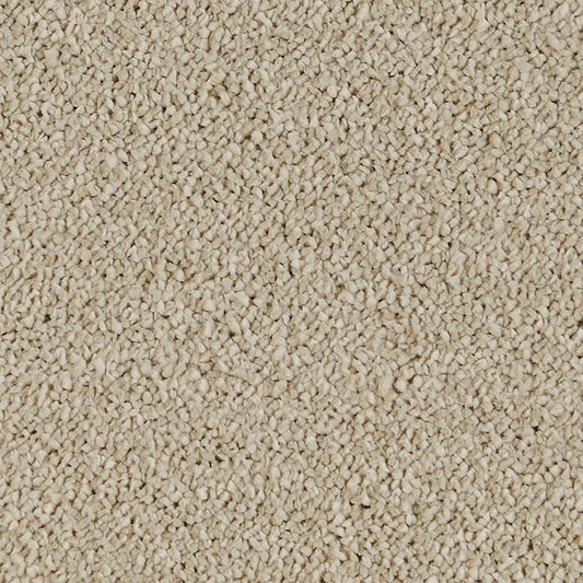 Sublime Mocha Cream 680 Carpet