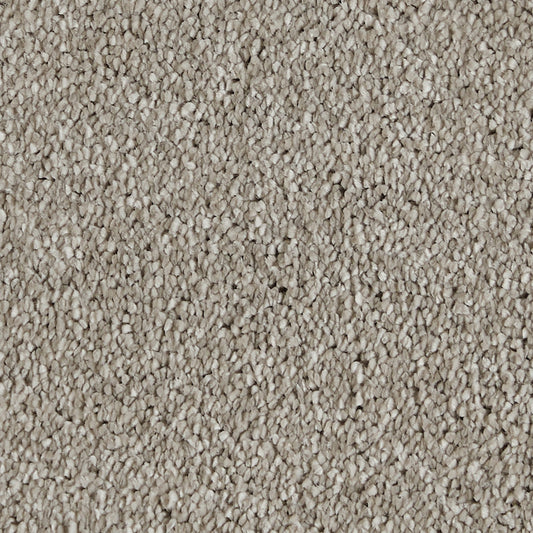 Sublime Greige 720 Carpet