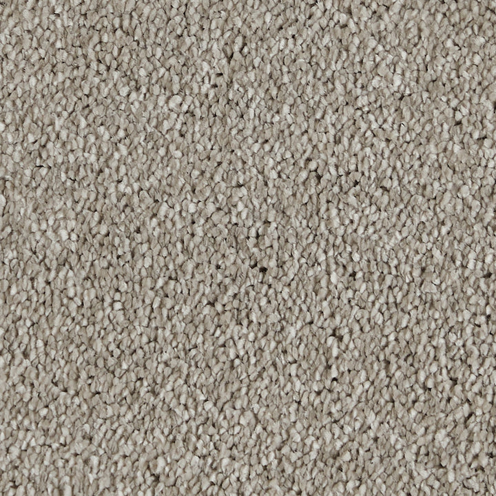 Sublime Greige 720 Carpet