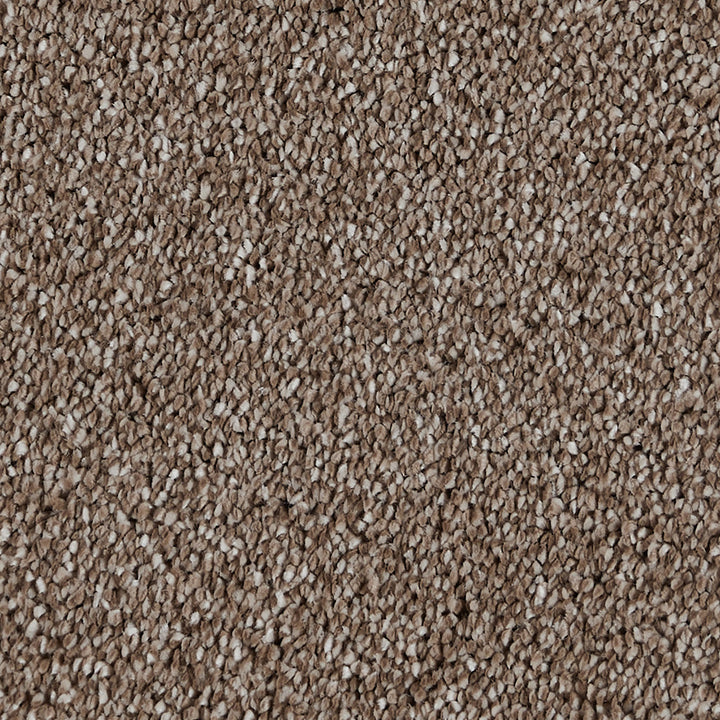 Sublime Horse Farm 800 Carpet