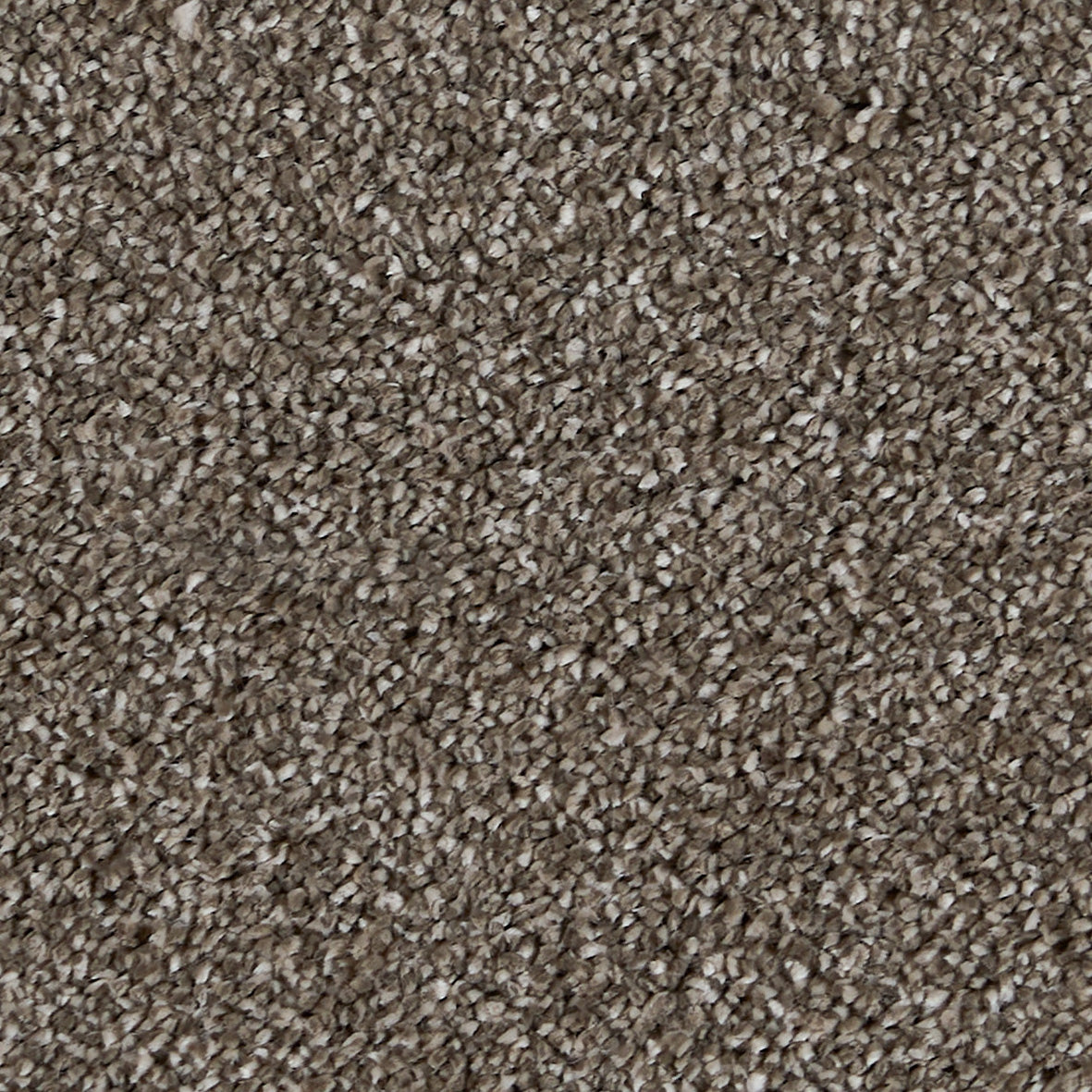 Sublime Mudslide 850 Carpet