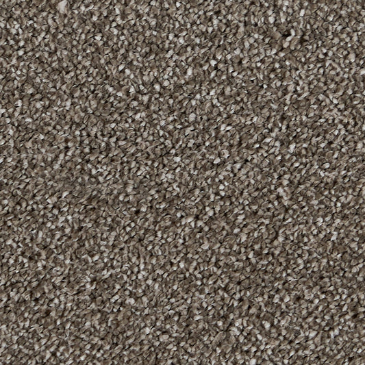 Sublime Mudslide 850 Carpet