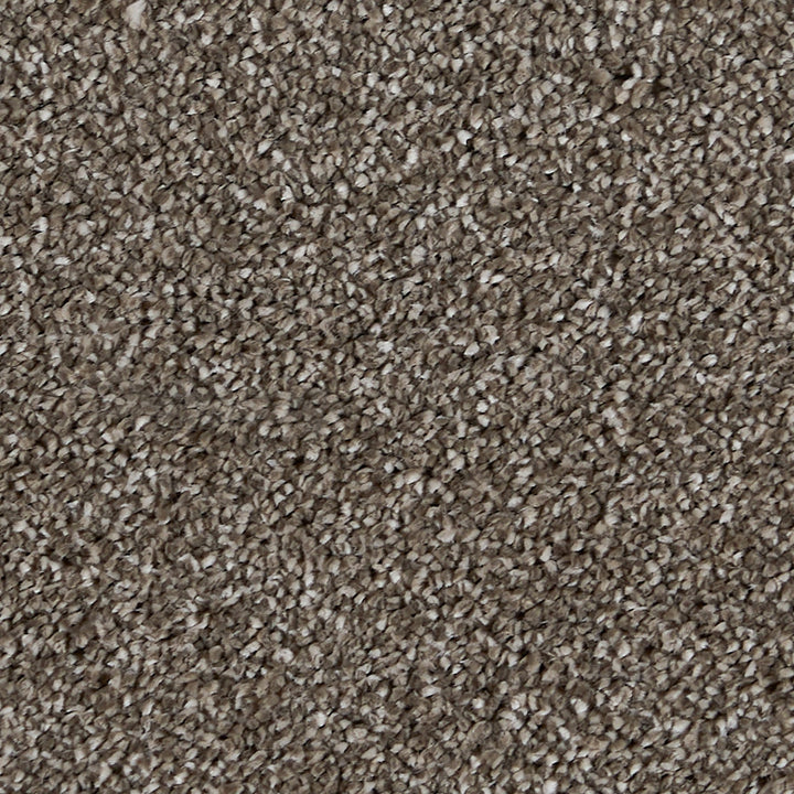 Sublime Mudslide 850 Carpet