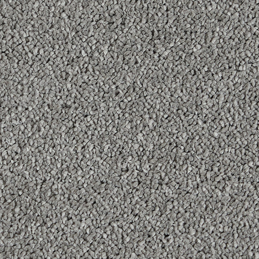Sublime Shark Skin 930 Carpet