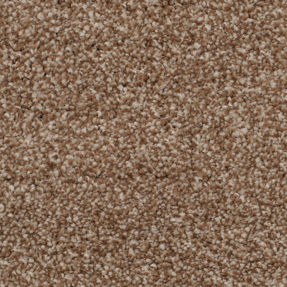 Bursa SB Oak 786 Carpet