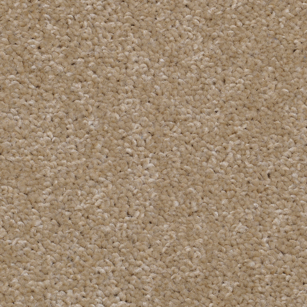 Super Twist Autumn Glow 645 Carpet