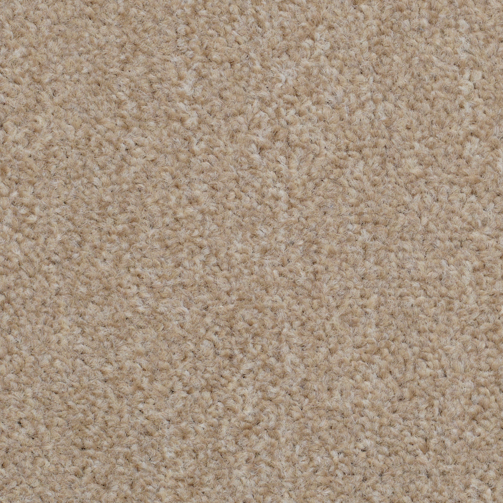 Super Twist Cafe Au Lait 65 Carpet