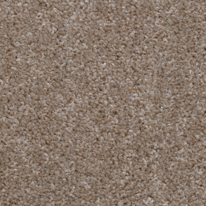 Super Twist Sandstone 740 Carpet
