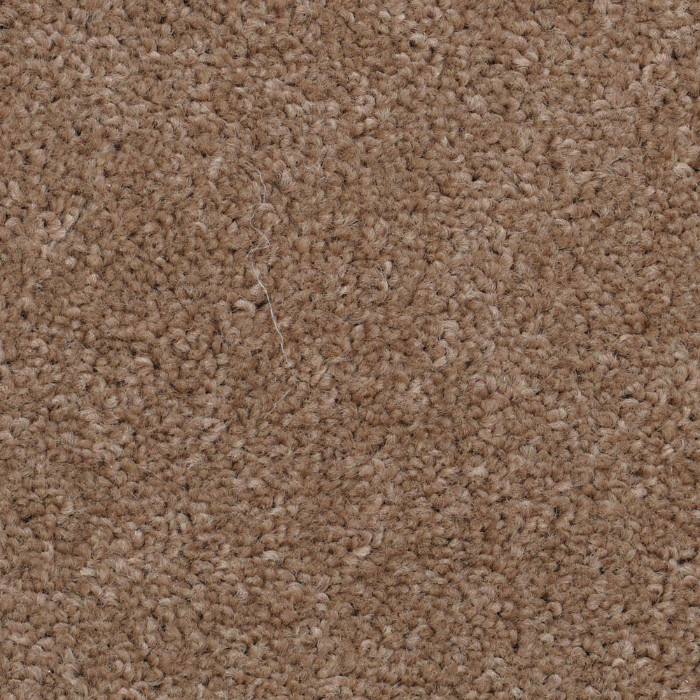 Super Twist Almond 810 Carpet
