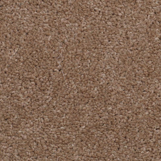 Super Twist Almond 810 Carpet
