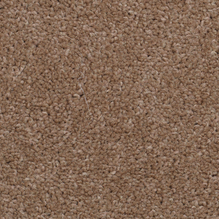 Super Twist Almond 810 Carpet