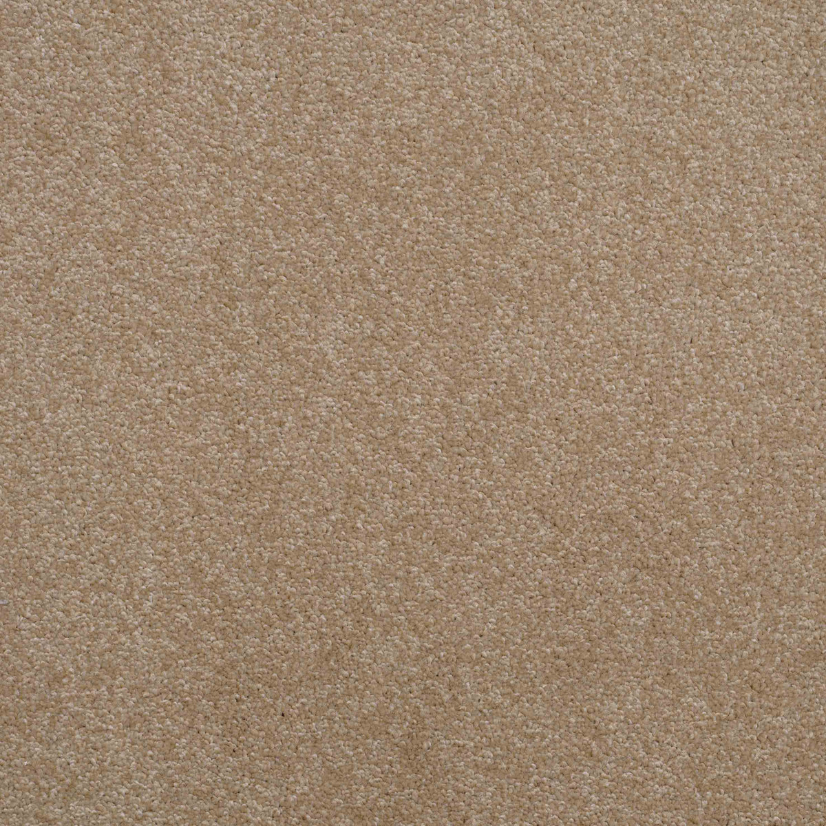 Shepherd Twist 2025 Autumn Glow 645 Carpet