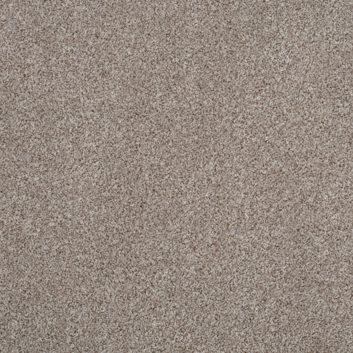 Shepherd Twist 2025 Pepper 745 Carpet