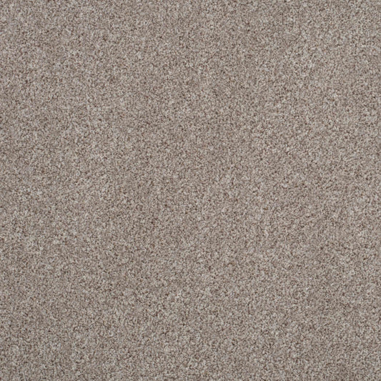 Shepherd Twist 2025 Pepper 745 Carpet