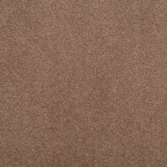 Shepherd Twist 2025 Almond 810 Carpet