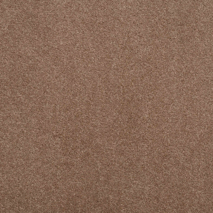 Shepherd Twist 2025 Almond 810 Carpet