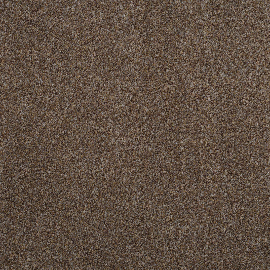 Shepherd Twist 2025 Pinecone 830 Carpet