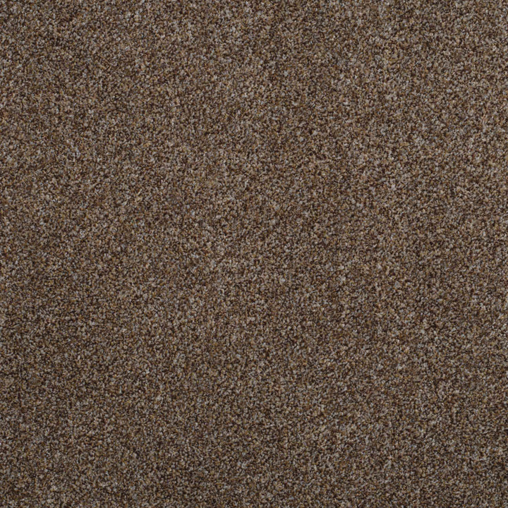 Shepherd Twist 2025 Pinecone 830 Carpet