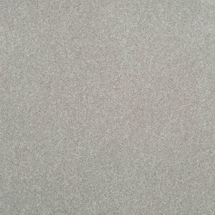 Shepherd Twist 2025 Clay 905 Carpet