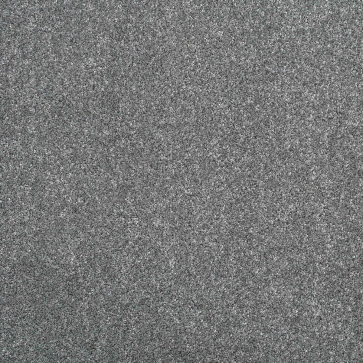 Shepherd Twist 2025 Nickel 915 Carpet