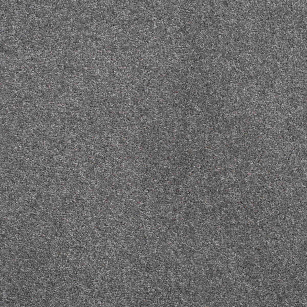 Shepherd Twist 2025 Slate 950 Carpet