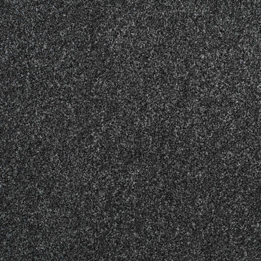 Shepherd Twist 2025 Anthracite 970 Carpet
