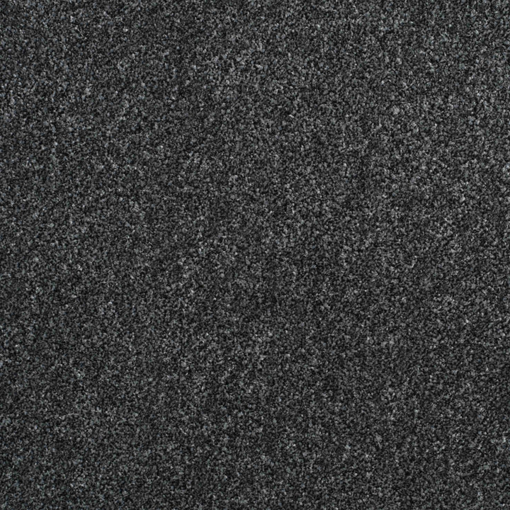 Shepherd Twist 2025 Anthracite 970 Carpet