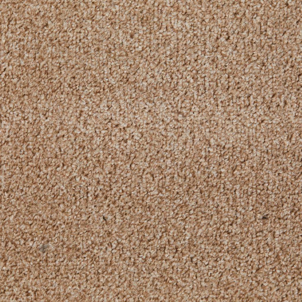 Derwent Felt Beige 69 Carpet