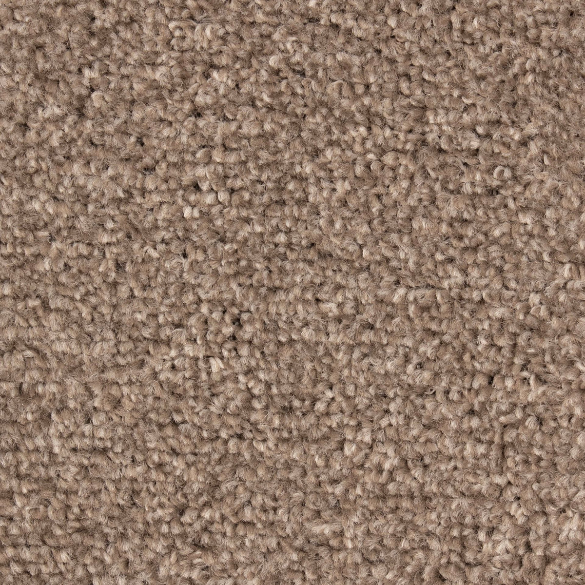 Derwent Felt Harvest 830 Carpet