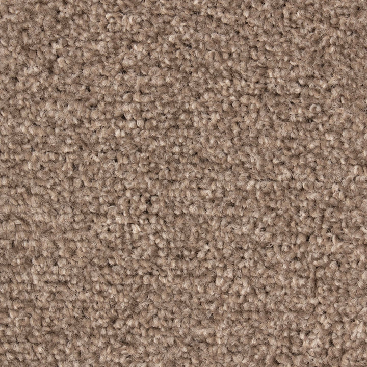 Derwent Felt Harvest 830 Carpet
