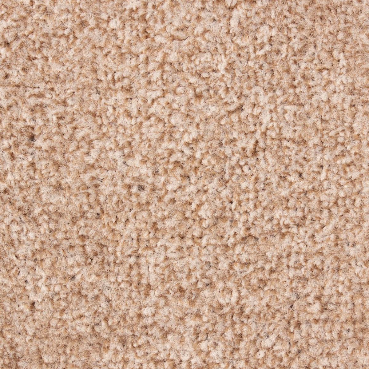 Derwent Felt Sand 160 Carpet