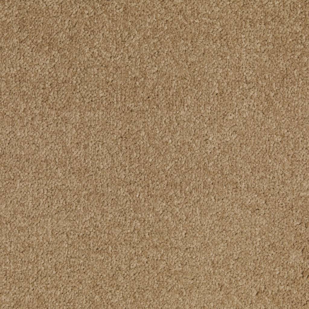 Wensleydale AB Beige Carpet