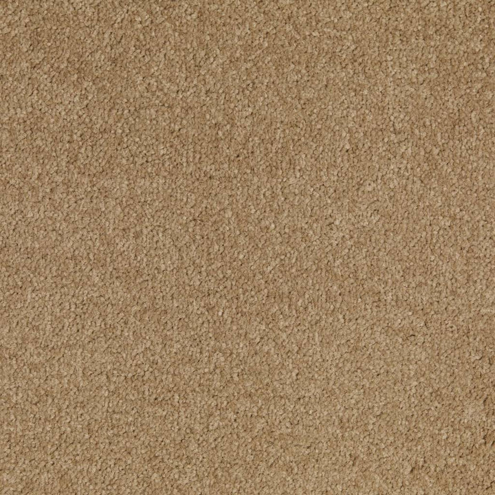 Wensleydale AB Beige Carpet