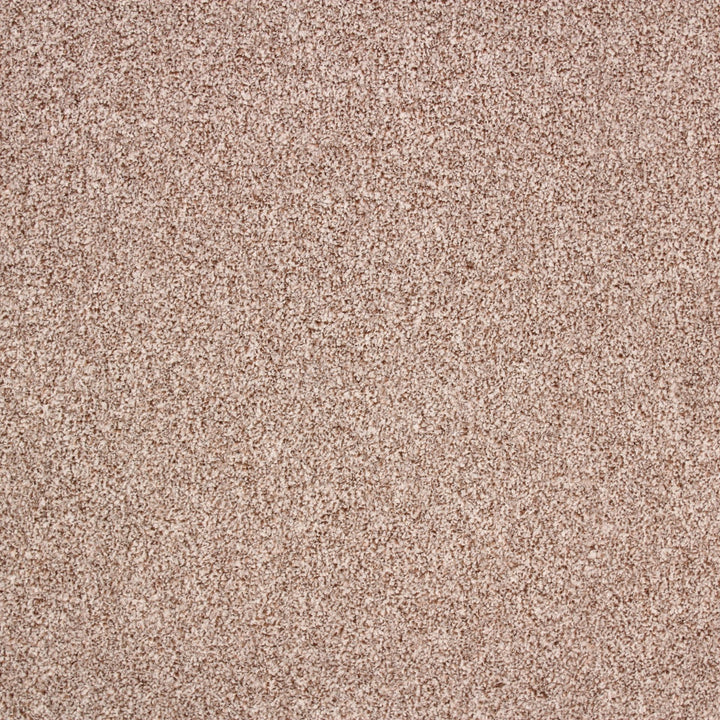 Bellagio AB Biscuit/pebble 70 Carpet