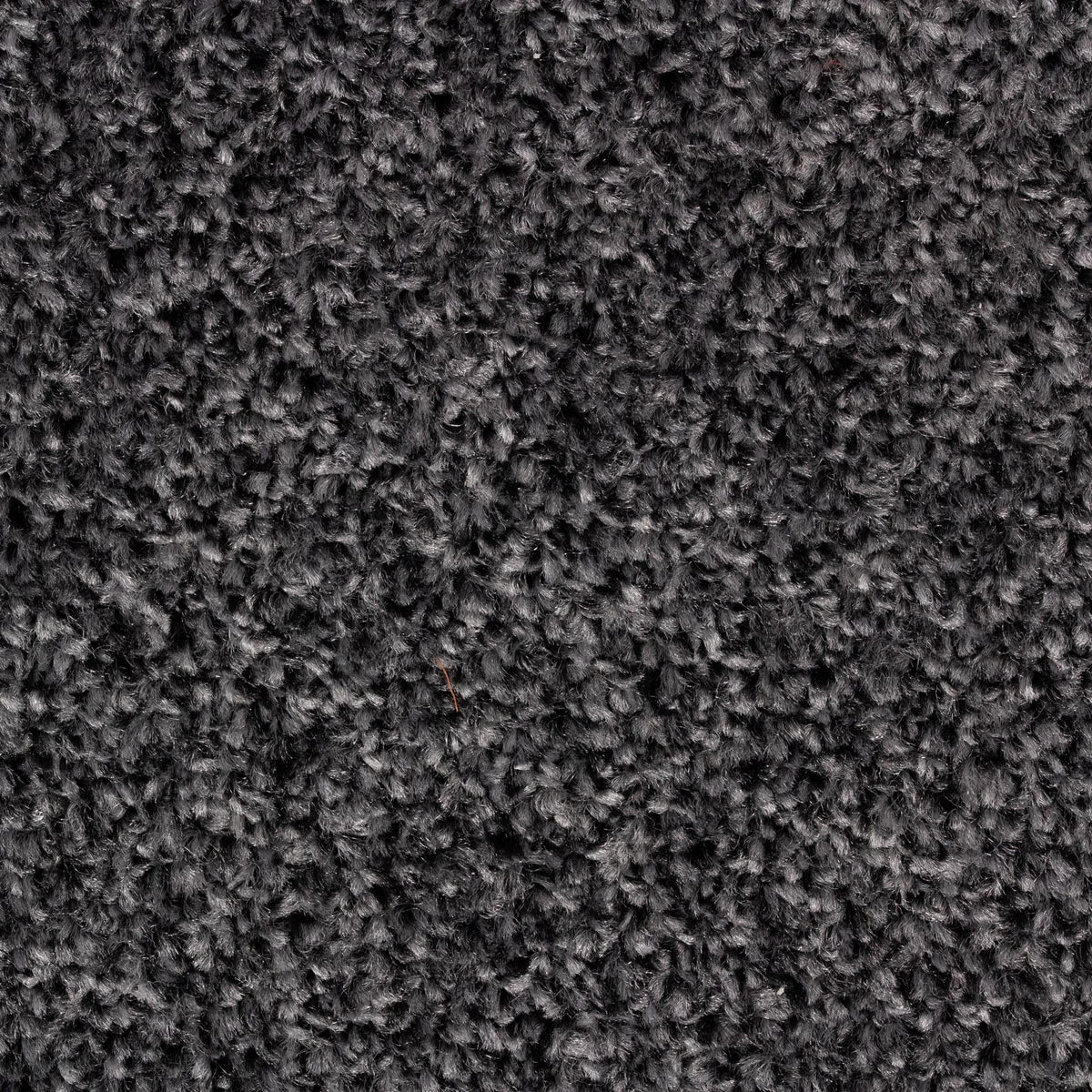 Alpha AB Carbon 77 Carpet