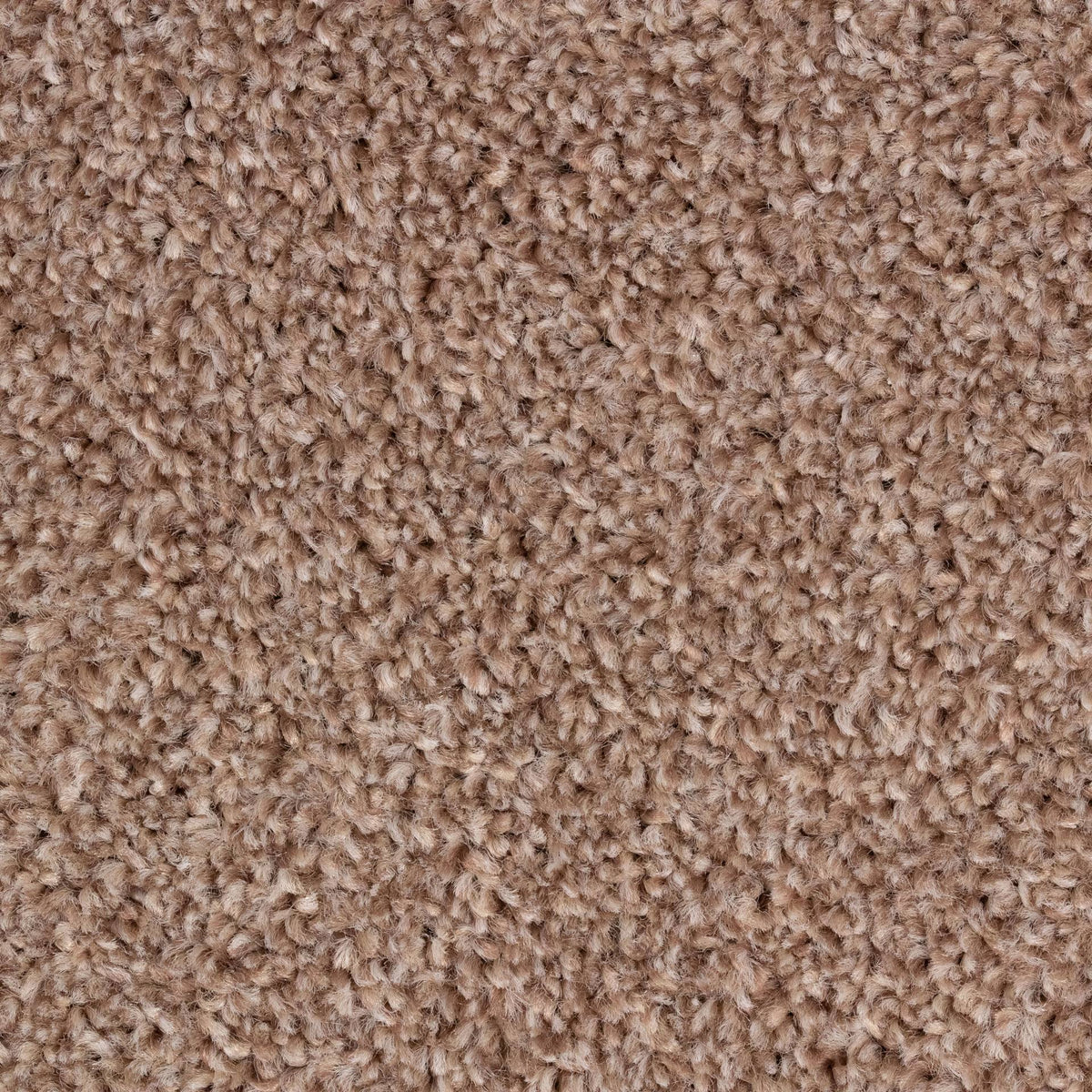 Alpha AB Mink 91 Carpet