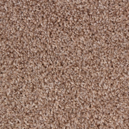 Alpha AB Mink 91 Carpet