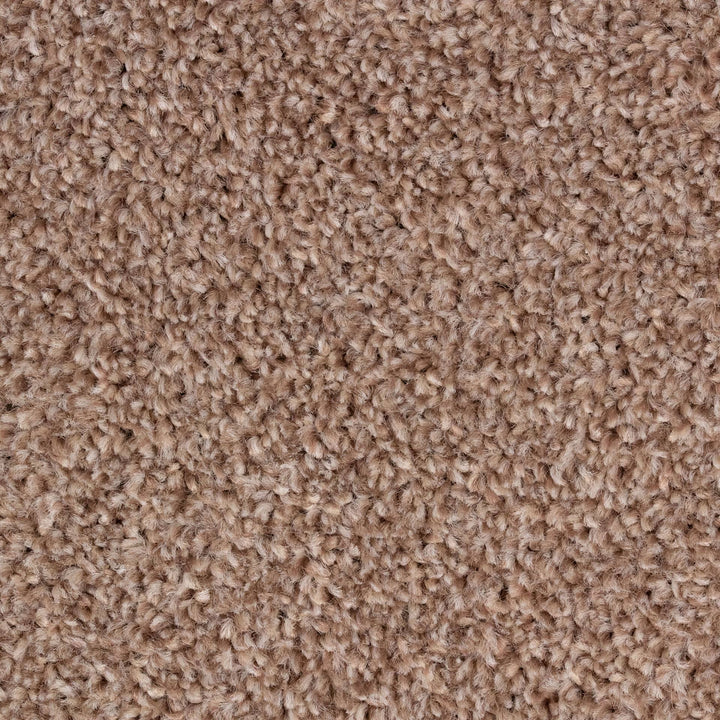 Alpha AB Mink 91 Carpet