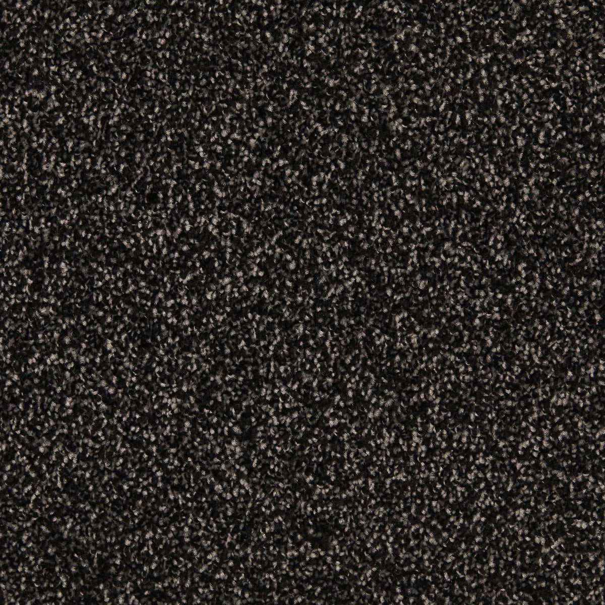 Temptation Black Cab 79 Carpet