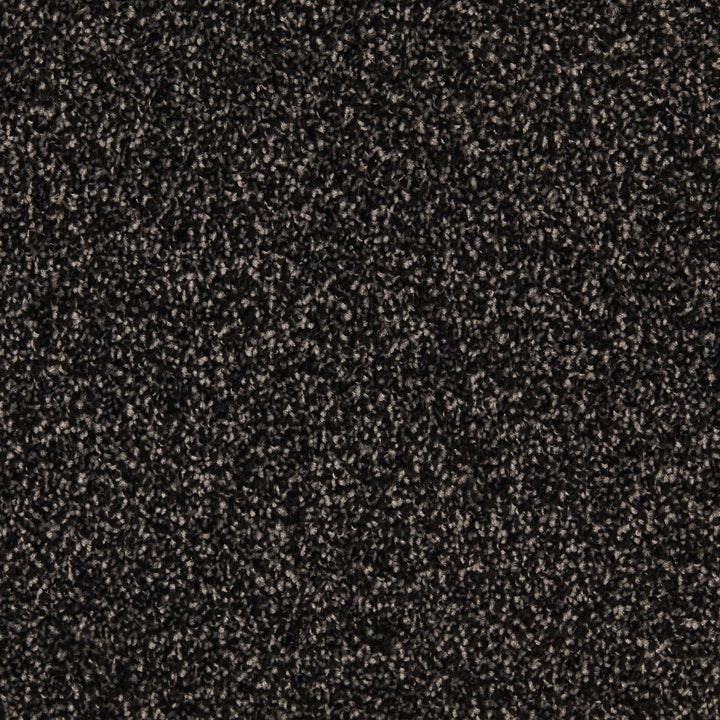 Temptation Black Cab 79 Carpet