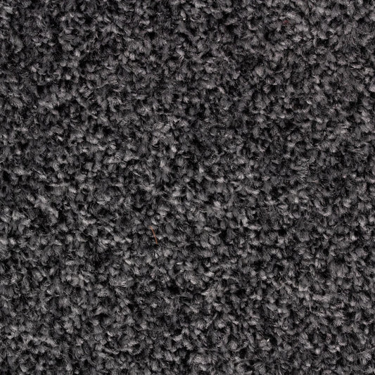 Alpha Fb Carbon 77 Carpet