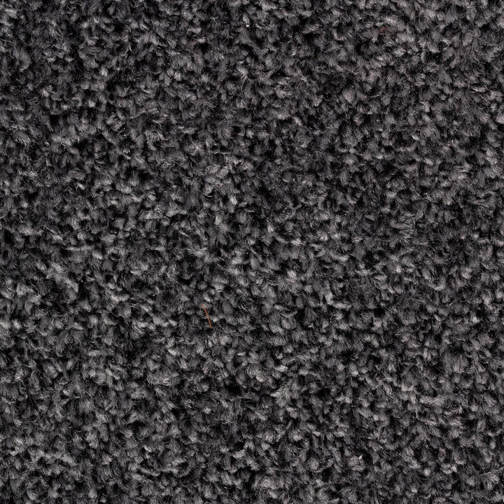 Alpha Fb Carbon 77 Carpet