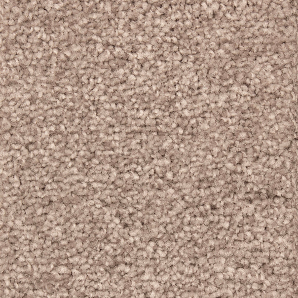 Alpha Fb Beaver 830 Carpet
