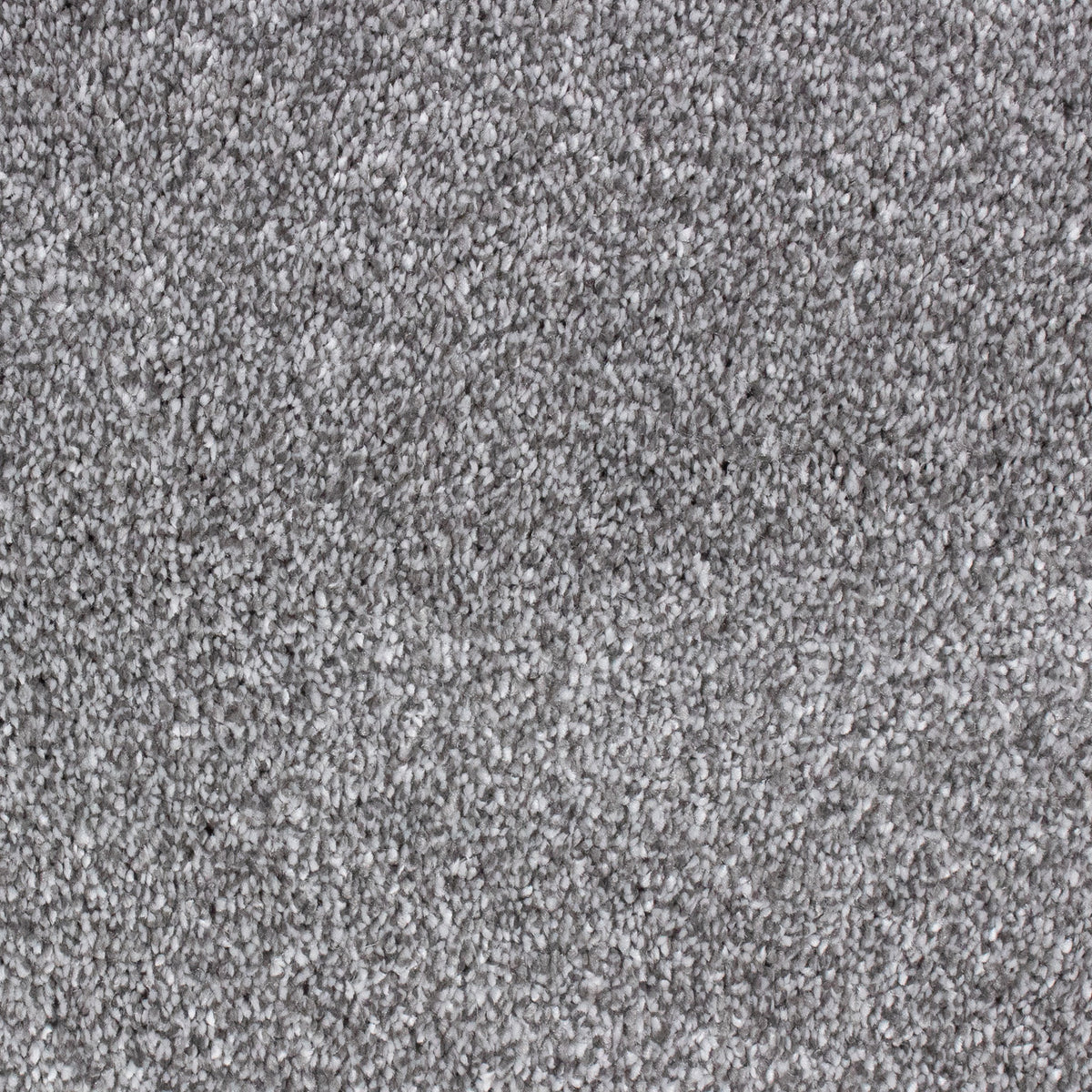 Lounge Saxony Platinum 76 Carpet
