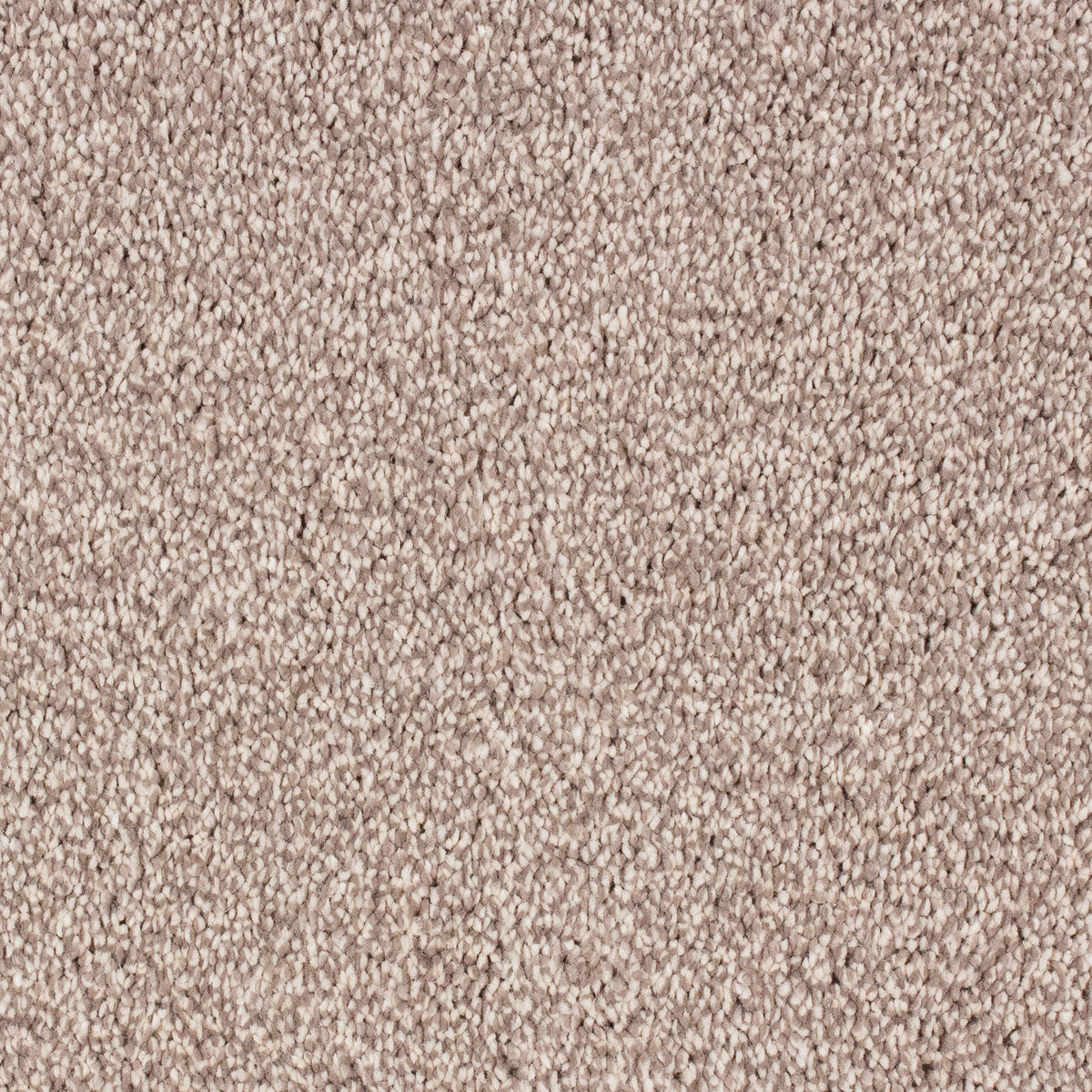 Lounge Saxony Pebble 63 Carpet