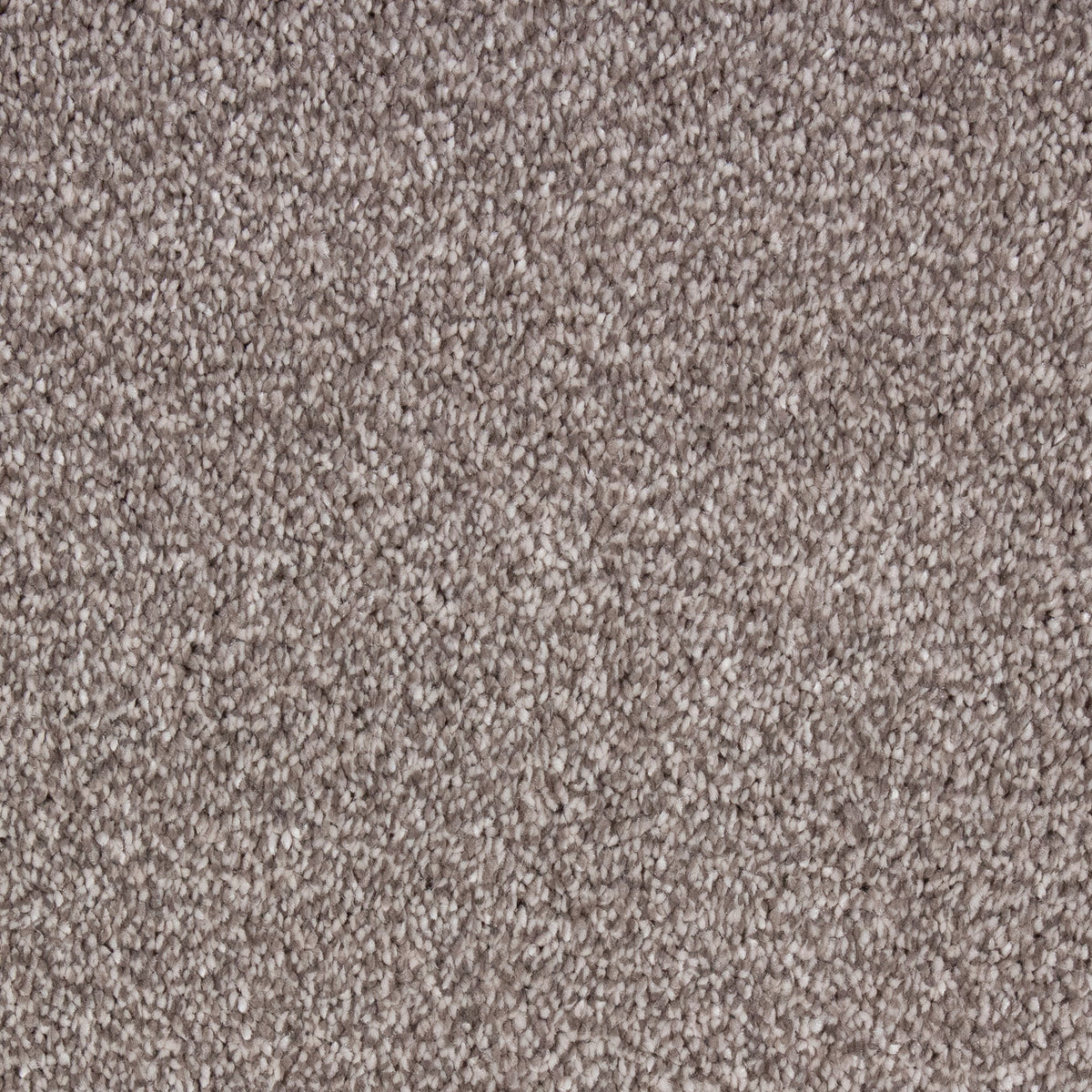 Lounge Saxony Natural 68 Carpet