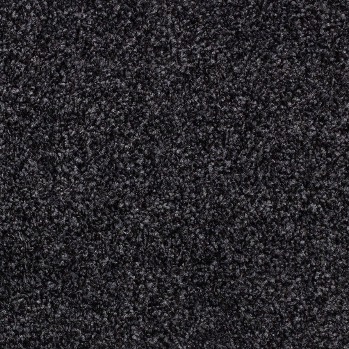 Winchester Fb Anthracite 79 Carpet