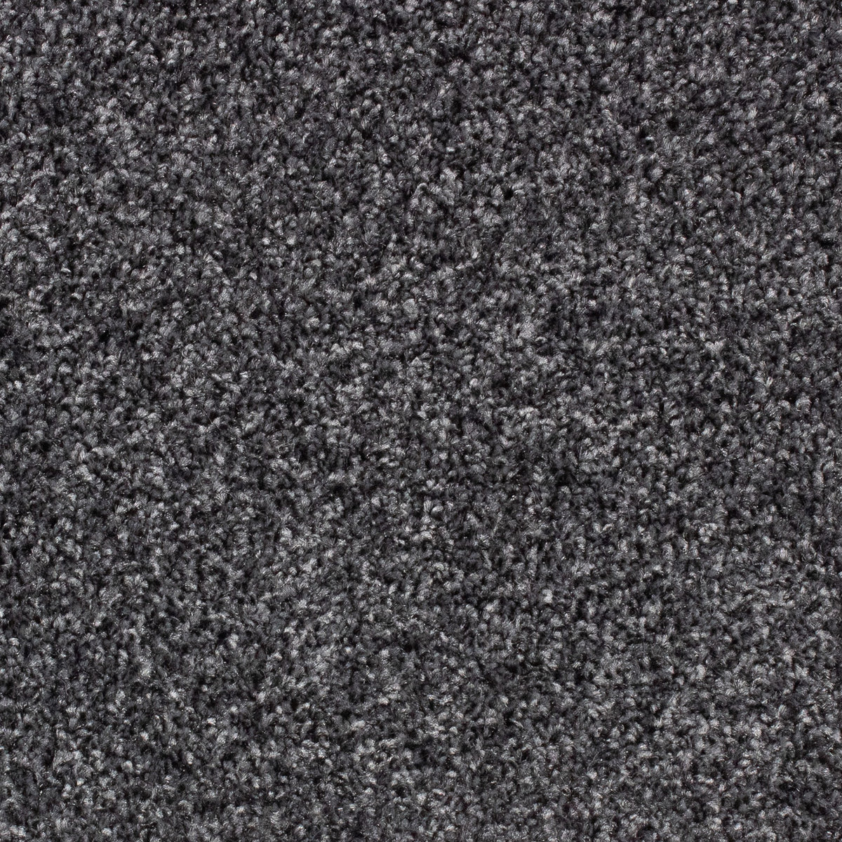 Winchester Fb Gunmetal 78 Carpet