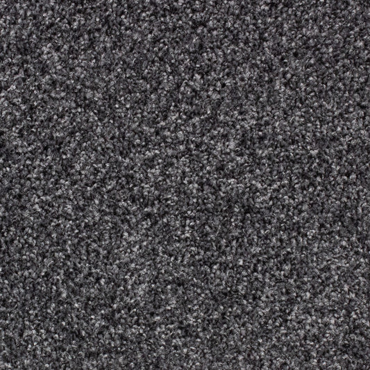 Winchester Fb Gunmetal 78 Carpet